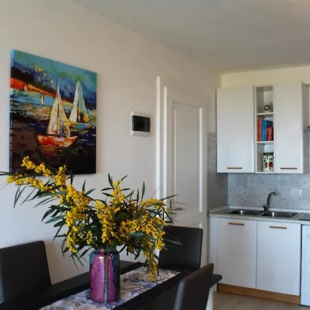 Apartament Aurora House